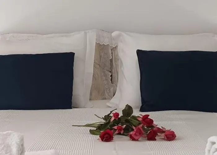 Joana's 1 * موسكافيد