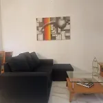 Joana's 1 모스카비드