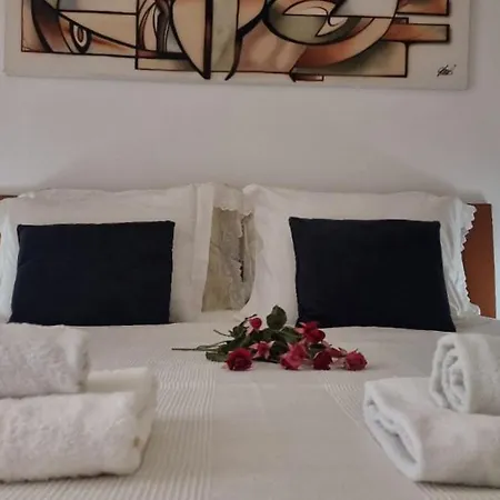 Joana's 1 Мошкавиди