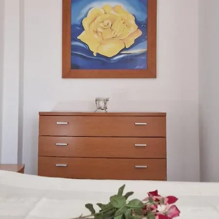 Joana's 1 Мошкавиди