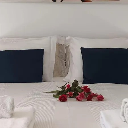 Joana's 1 * Мошкавиди