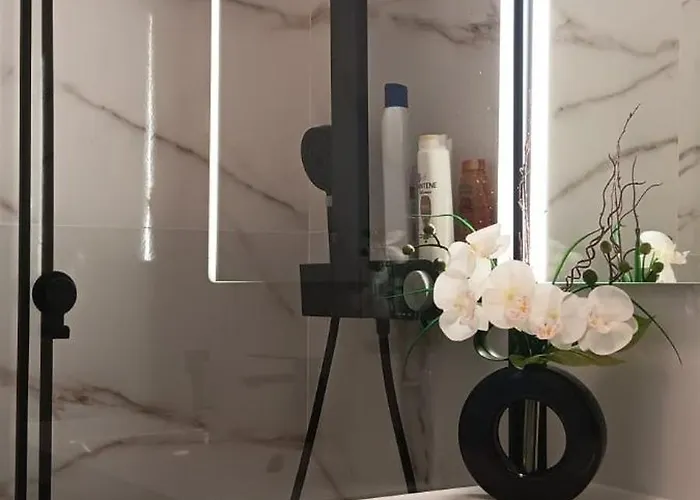 Joana's 1 * Мошкавиди